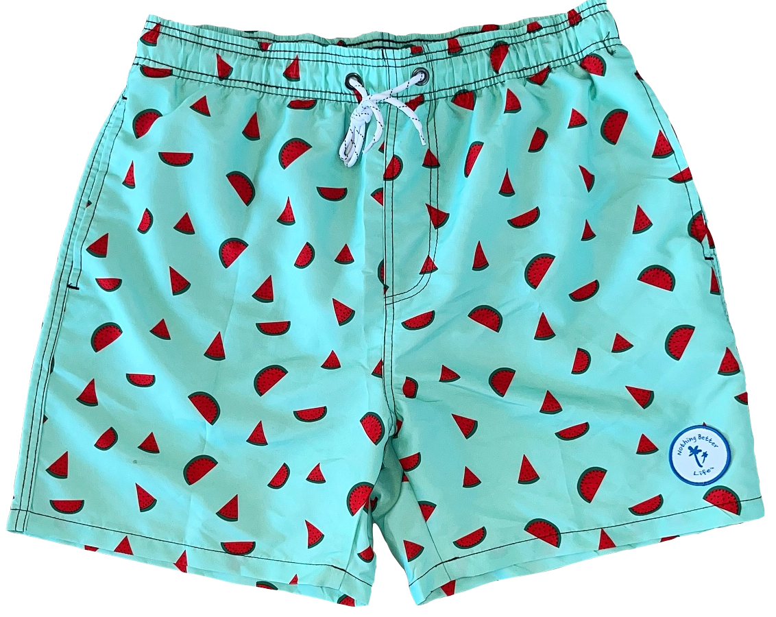 Watermelon swimsuit mens sales